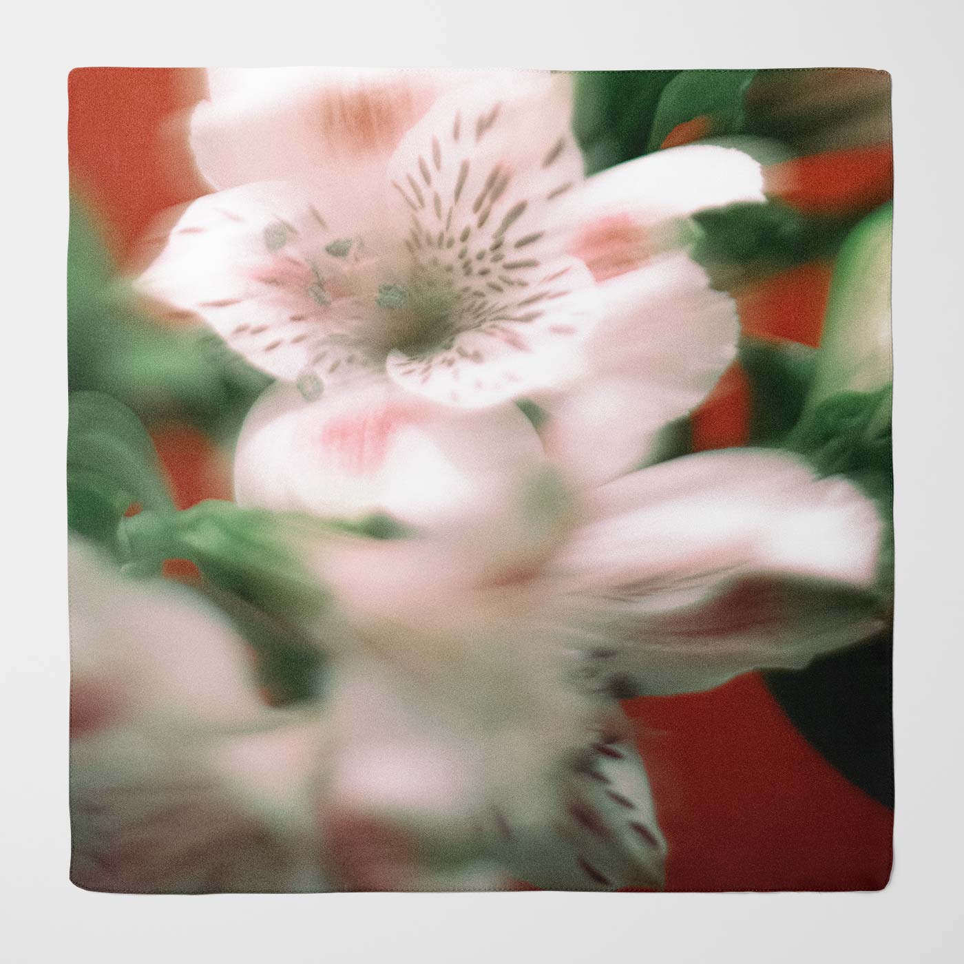 Burgundy Silk Scarf with White Blurred Flowers